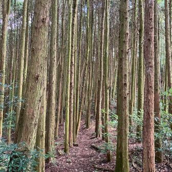 まもなく宮地岳山頂