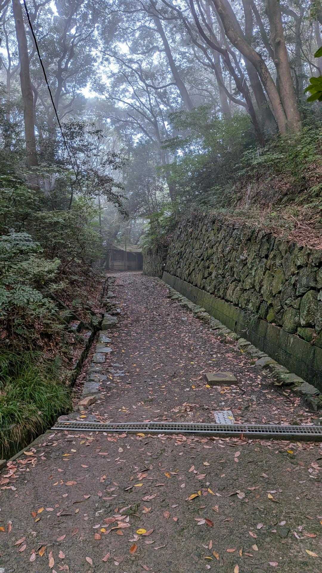 矢筈山 往復コースの写真