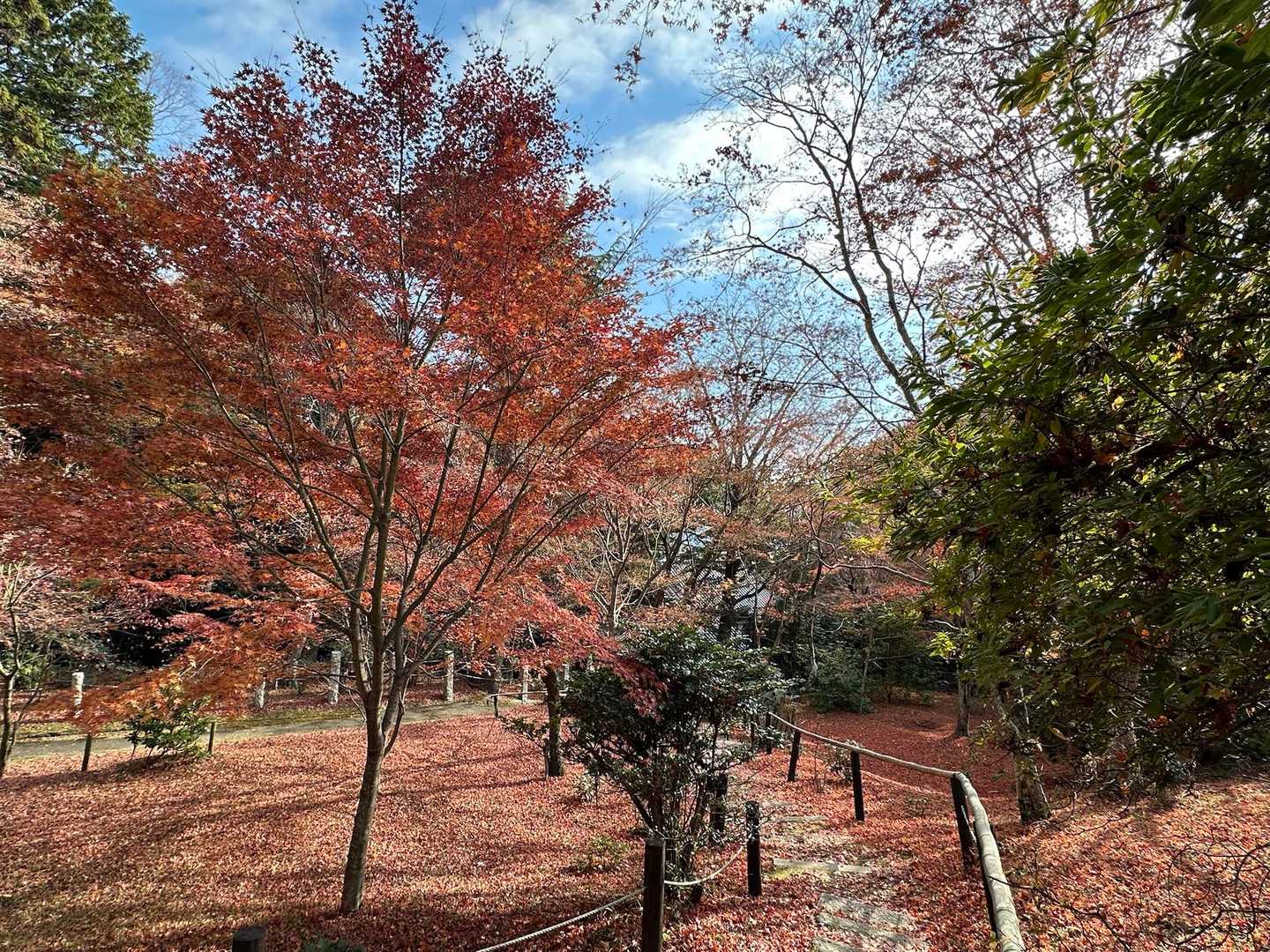 参拝へと向かいます