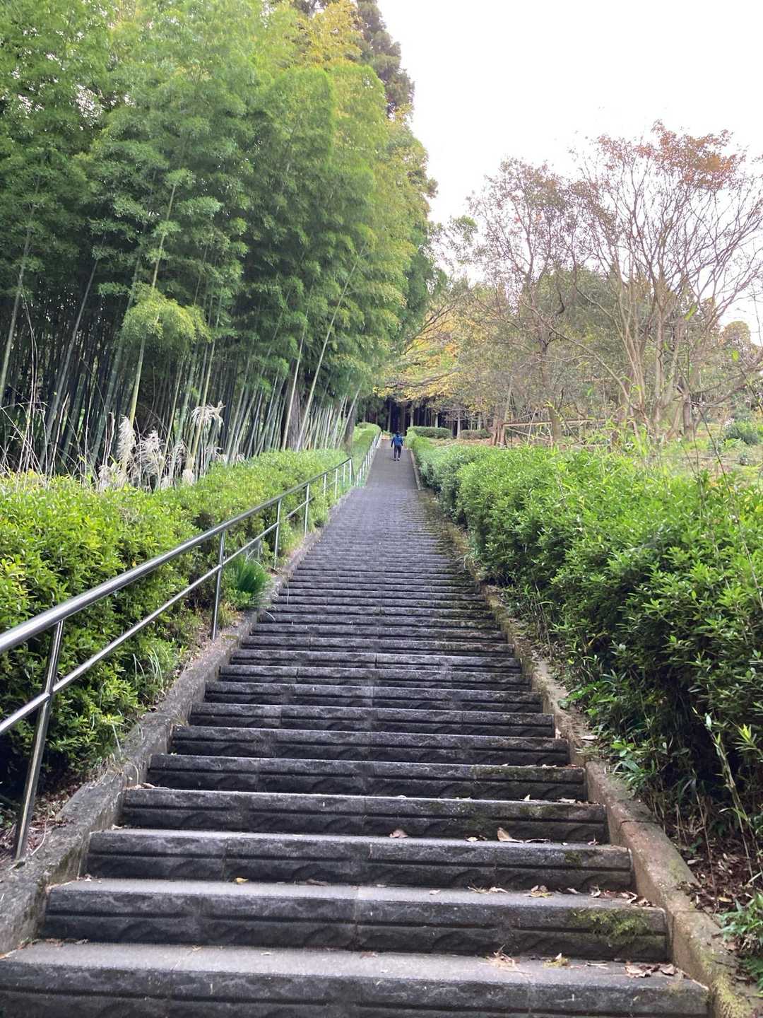 石段登山口-射鳥峠-竜峰山-鞍ヶ峰-竜ヶ峰 縦走コースの写真