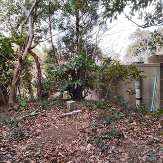 山頂の様子　眺望なし