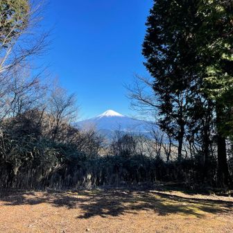 文珠岳からの富士山