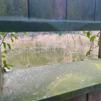 ここから銃口を‥🙅‍♂️