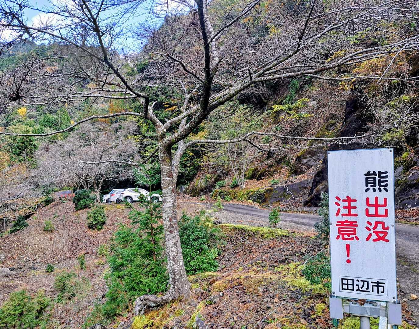 熊🐻出没注意‼️
奥深い紀伊半島のど真ん中❣️
緊張するけど気を引き締めて✊️