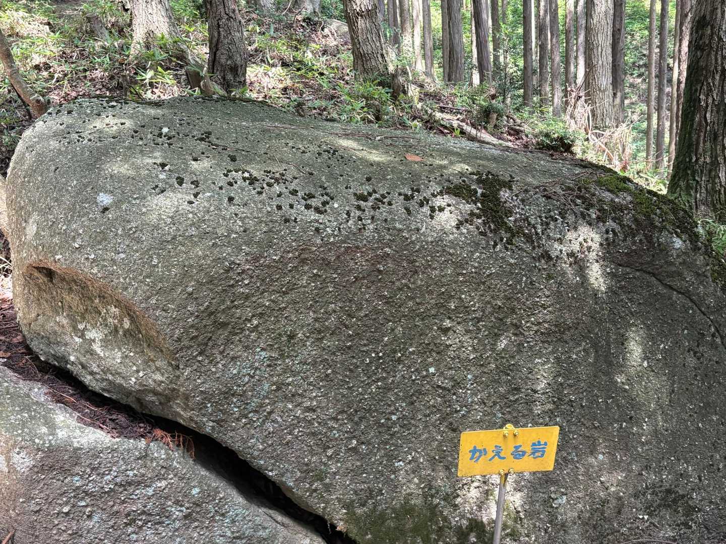 笹平口-屏風山 周回コースの写真