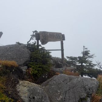 晴れないうちに着いてしまった😭おそらくこの方向が早池峰山ですがさっきと大差ない視界。