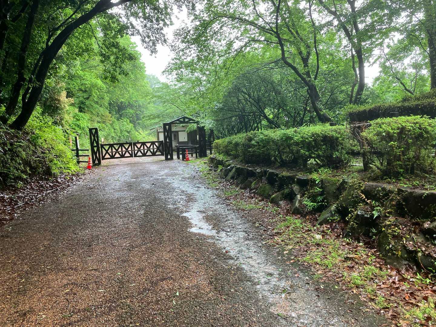 駐車場付近のトイレの遠景。ここでも、縄張り主張しといた。