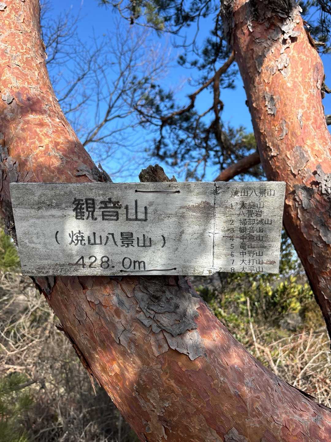 観音山頂きました！