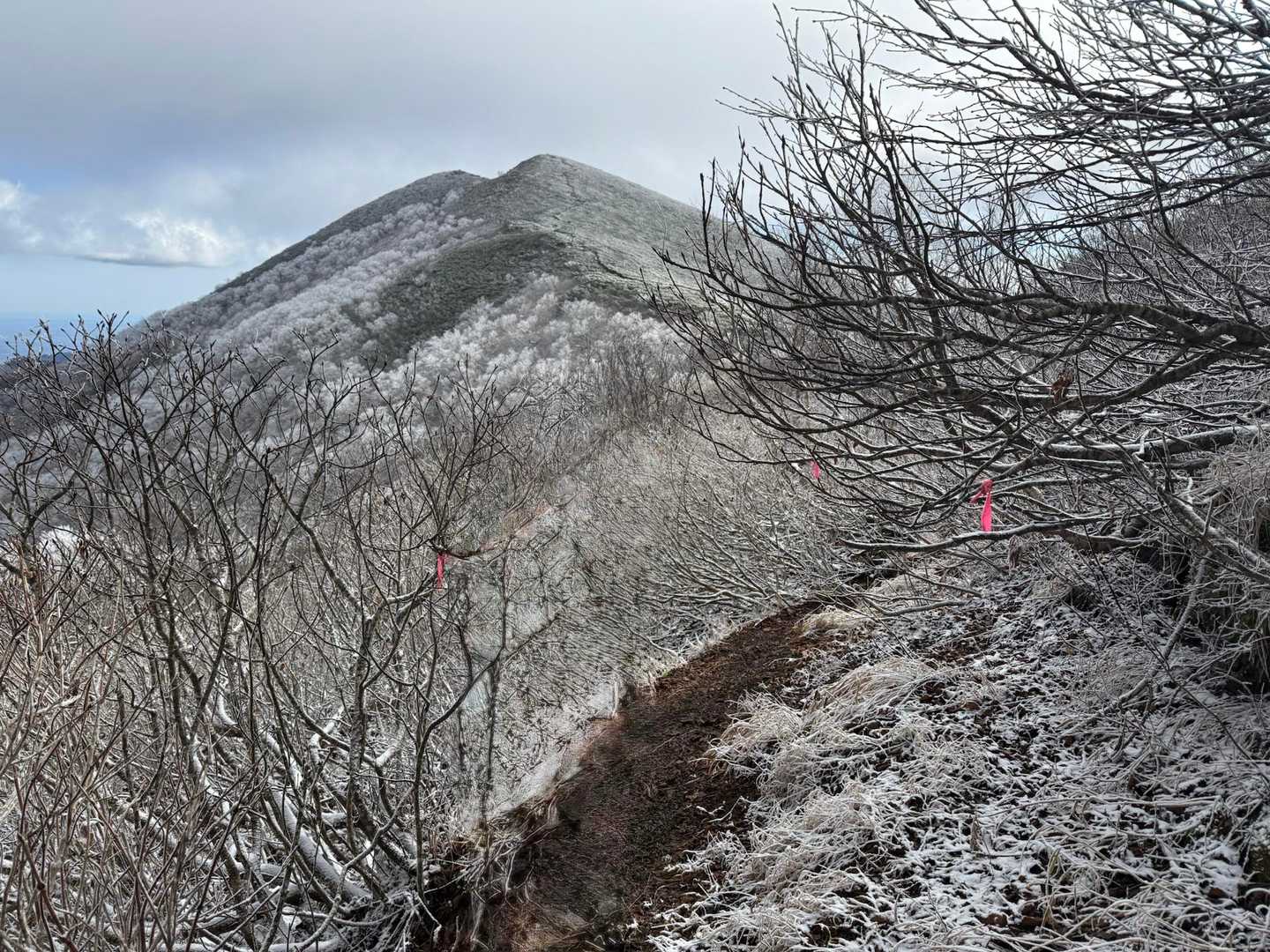 山小屋芽室岳-芽室岳 往復コースの写真