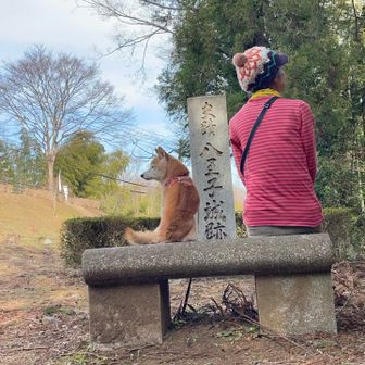 喧嘩してる👵と🐕