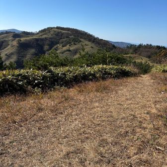 つぎは、あの雲月山！