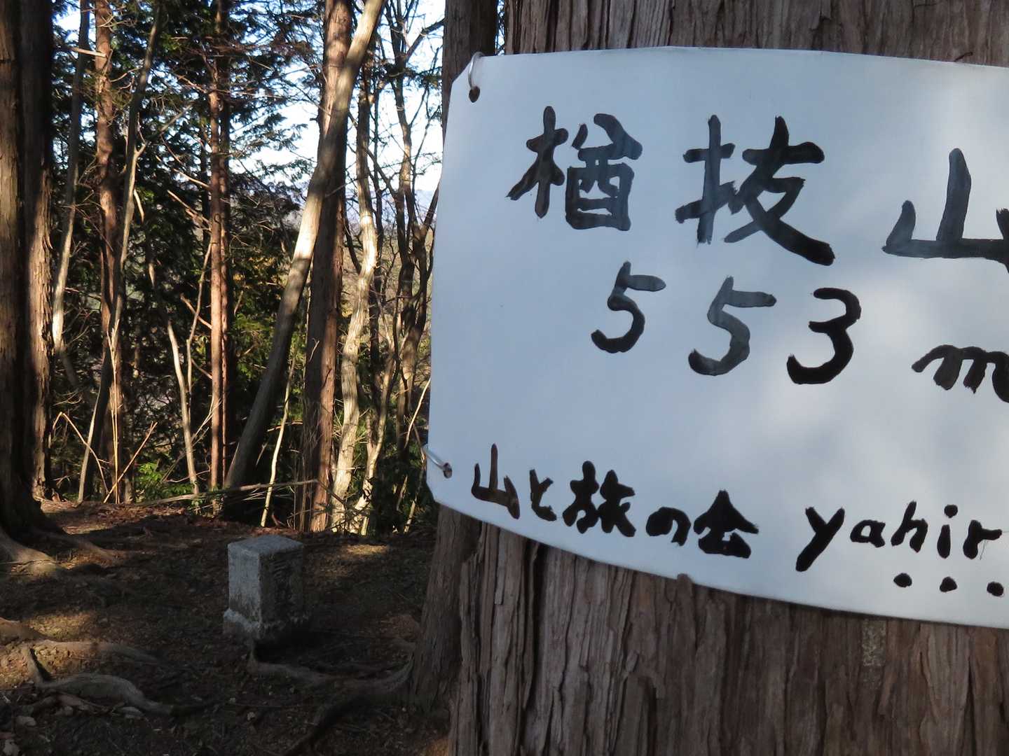 ここも、もう嫌になるくらいの、急登だったよ…降りる時は、転げ落ちる感じ😅💦