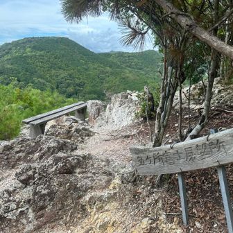 登山途中に眺展望が開けたところに
ベンチが有りましたが、山頂はスグ上でした