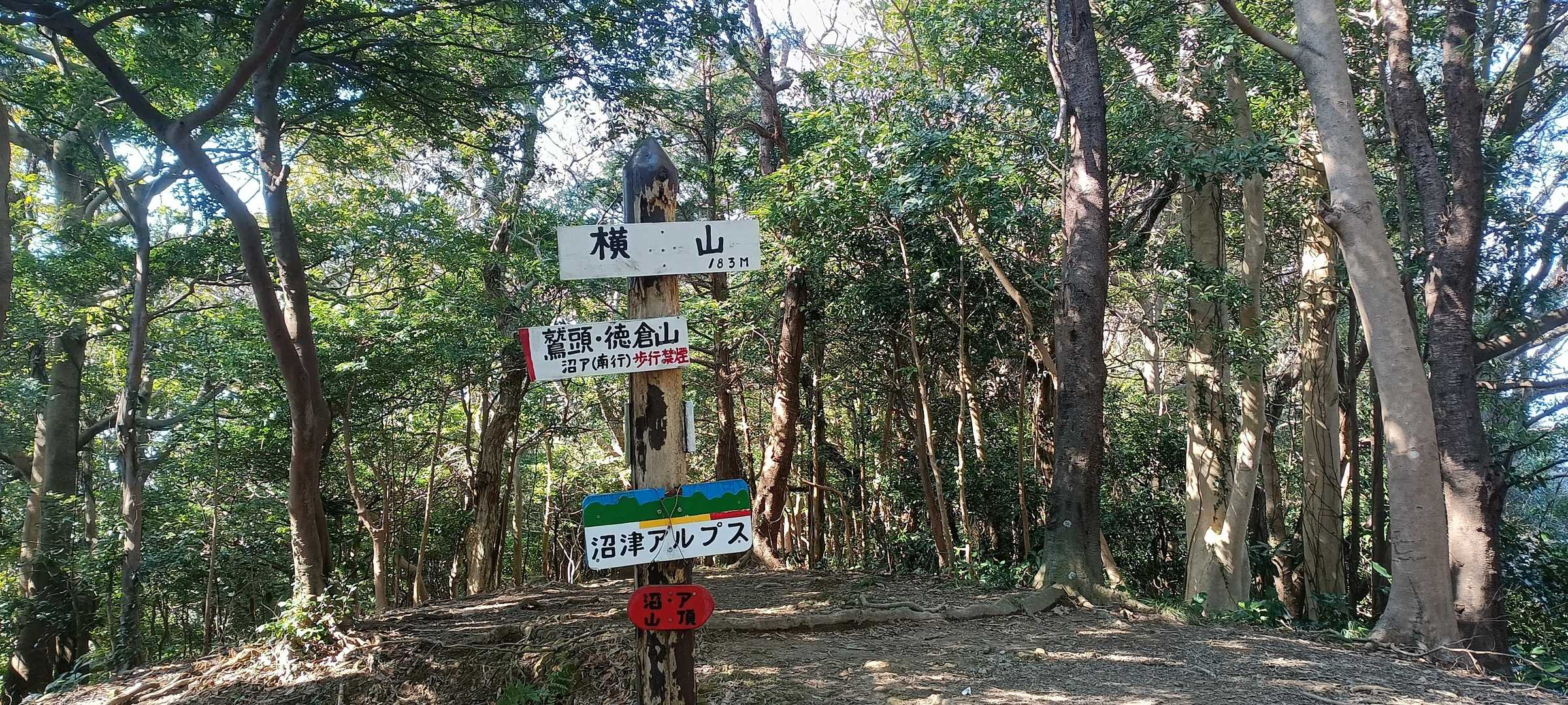 香貫台入口バス停-徳倉山-横山-八重坂峠-八重坂登り口-香 縦走コースの写真
