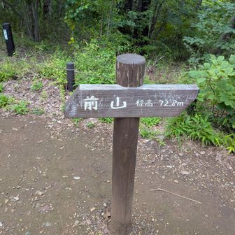 本日の1座目の前山。