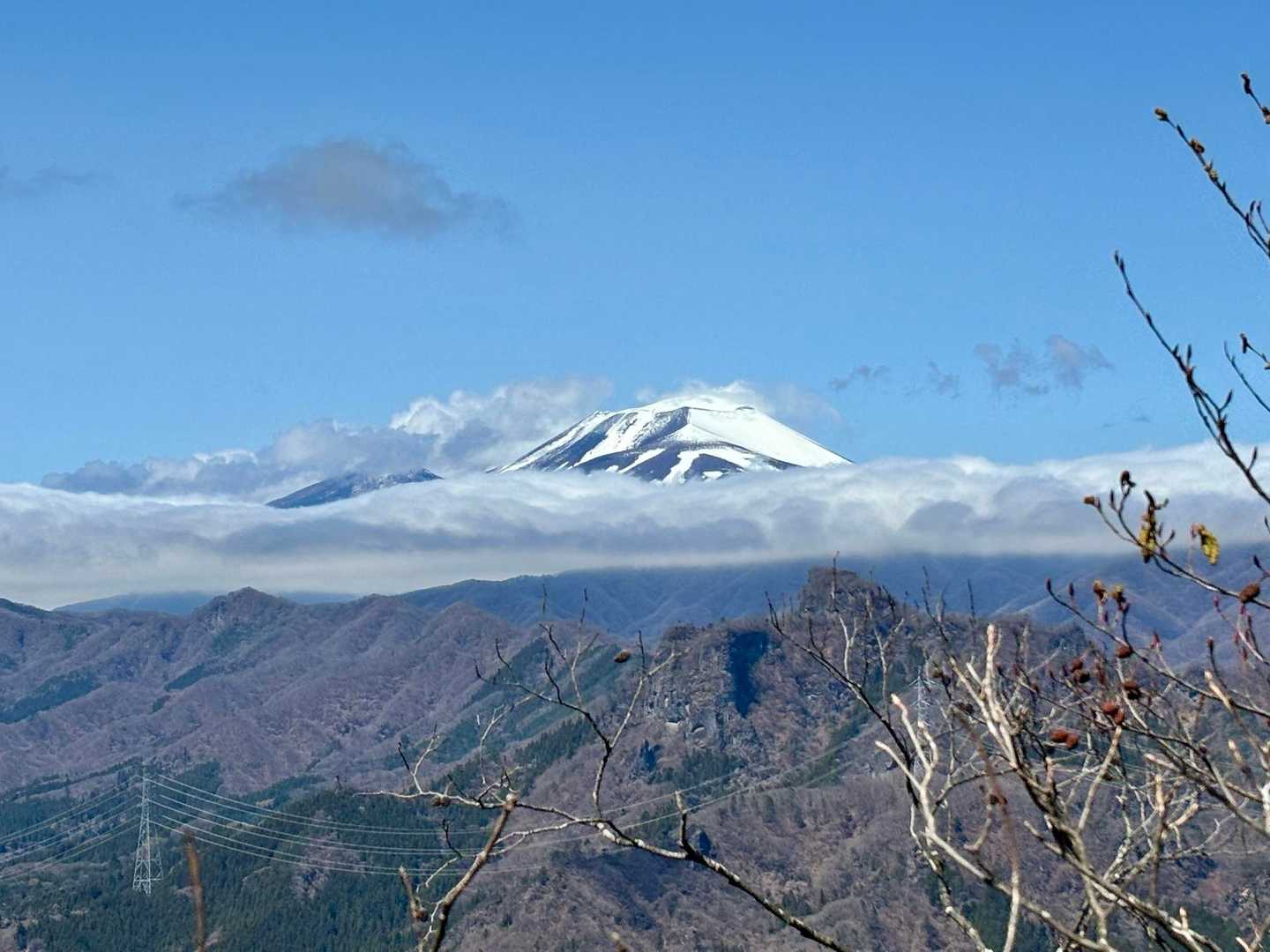 浅間山見えました✨