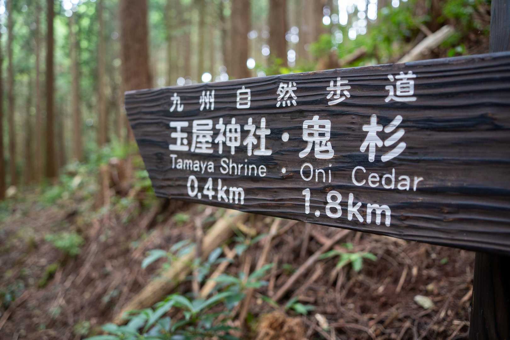 もうすぐ玉屋神社。