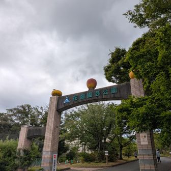 こちらがね、花畑園芸公園です
植物公園で〜す！
福岡市南区
入園料は無料
駐車場代が300円かかります
