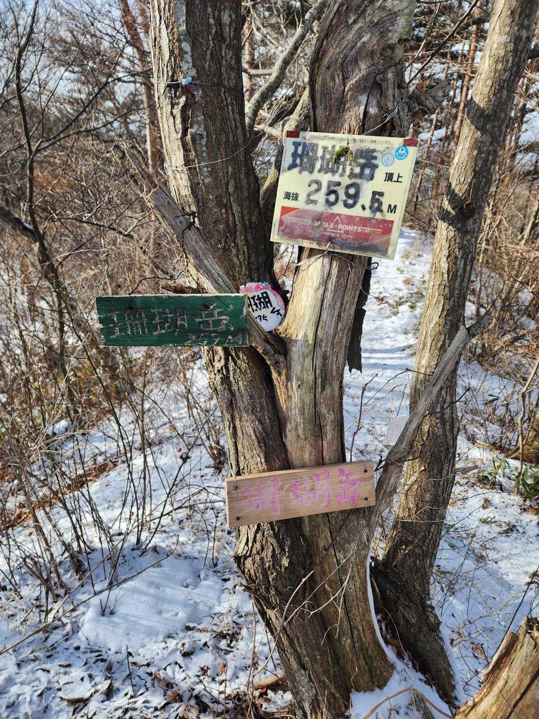 珊瑚岳 周回コースの写真