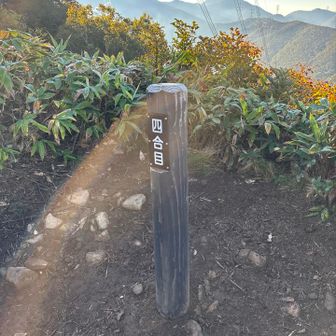 四合目
少し視界が開けた、送電塔のそば