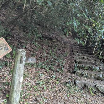 まずは、多利山へ向います。