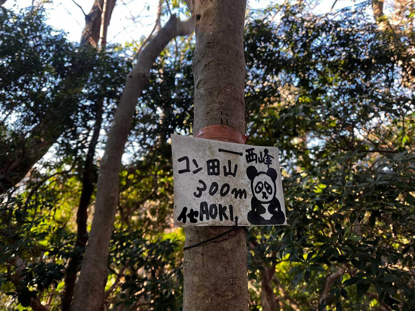 🔺300m