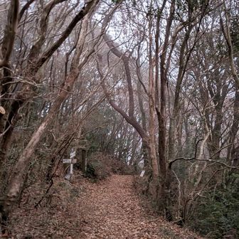 頭巾山辺りでようやく明るくなる。
ここまで霧がすごかった。
辺り真っ白。