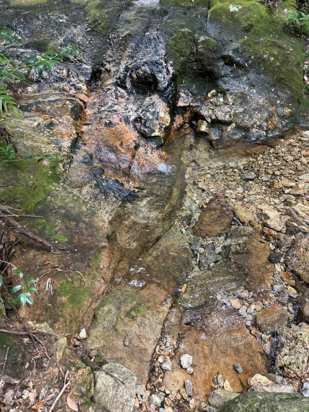 英山登山口-英山-本城岳-有田ダム登山口 周回コースの写真