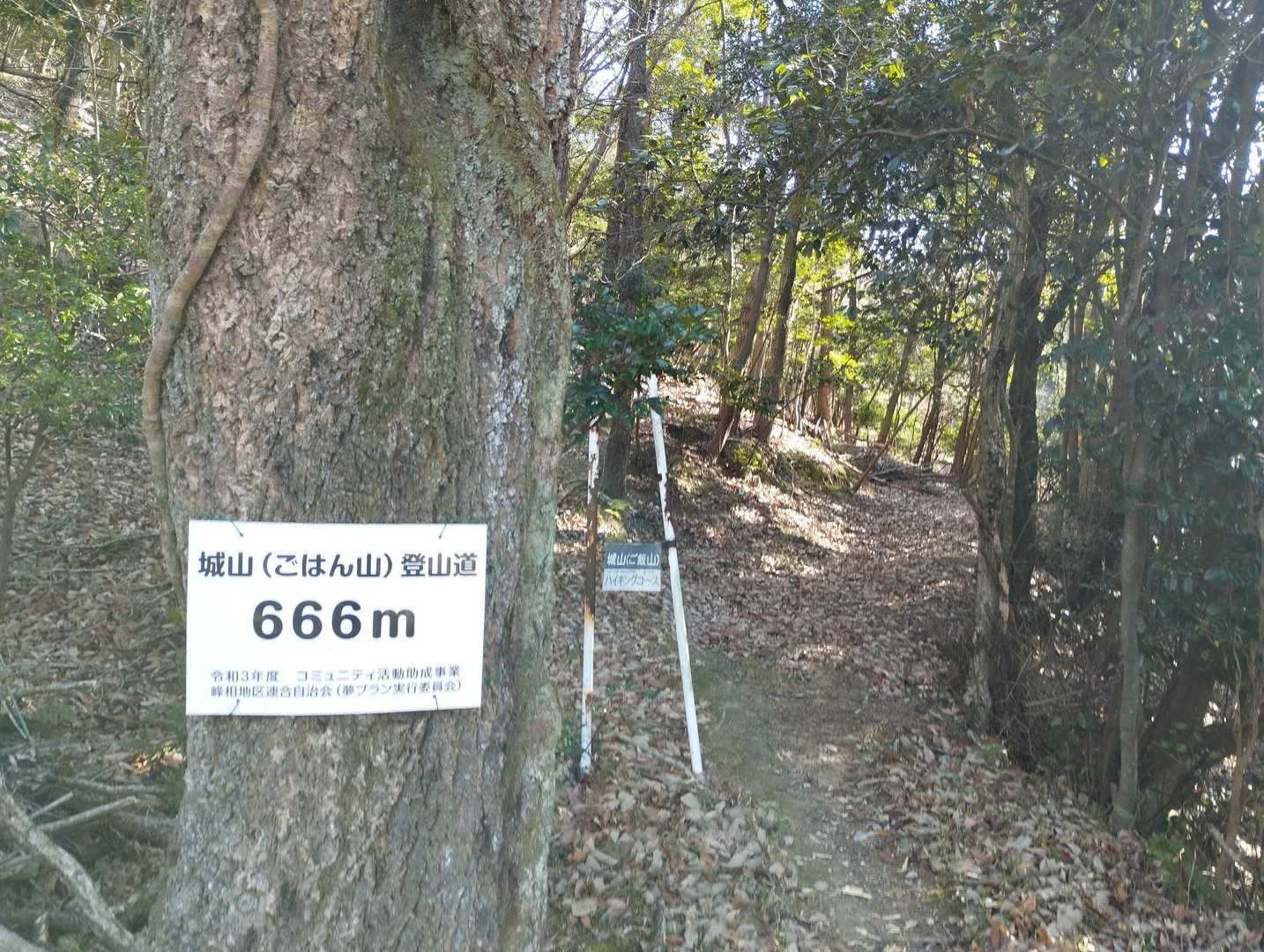 標高？
まあまあ高いな〜