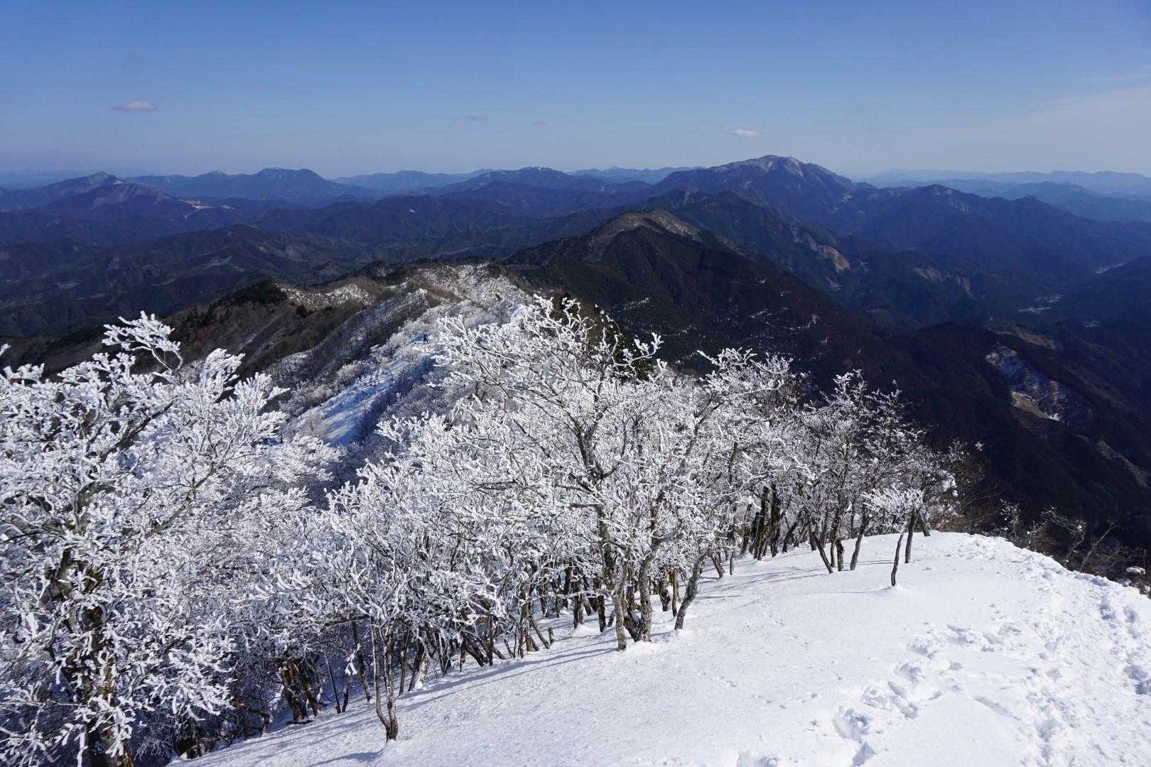 東側。中央奥は同じく霧氷バスが出てる三嶺山