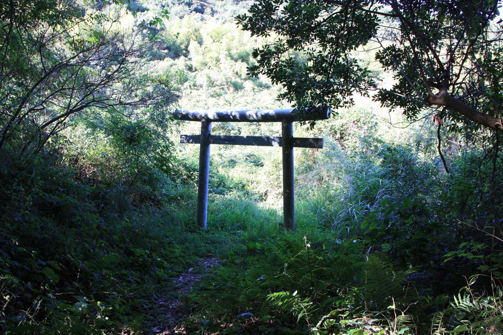 下の鳥居　着いた