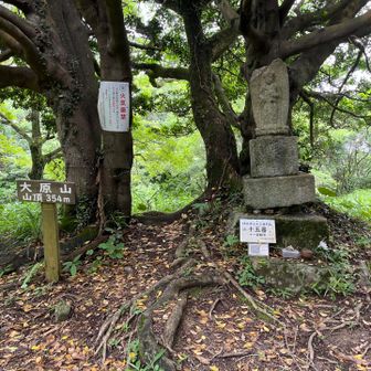 大原山山頂に到着！