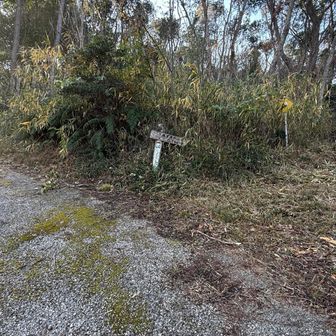 おのころ山手前の分岐
山頂へは右に行ったほうがいい
案内板には「あずまや」とあります。