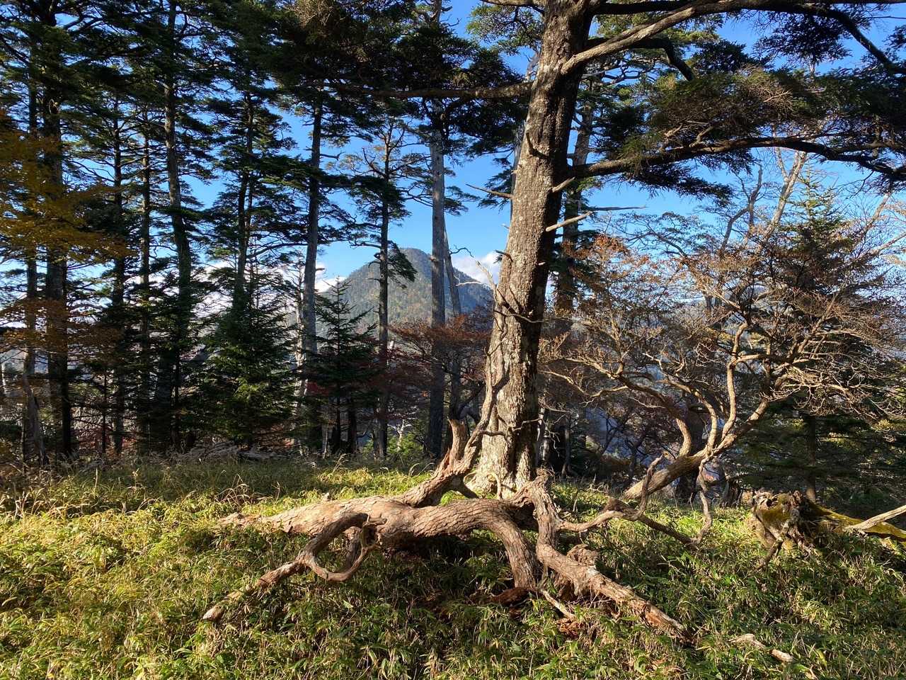 二ツ山山頂付近を通過。