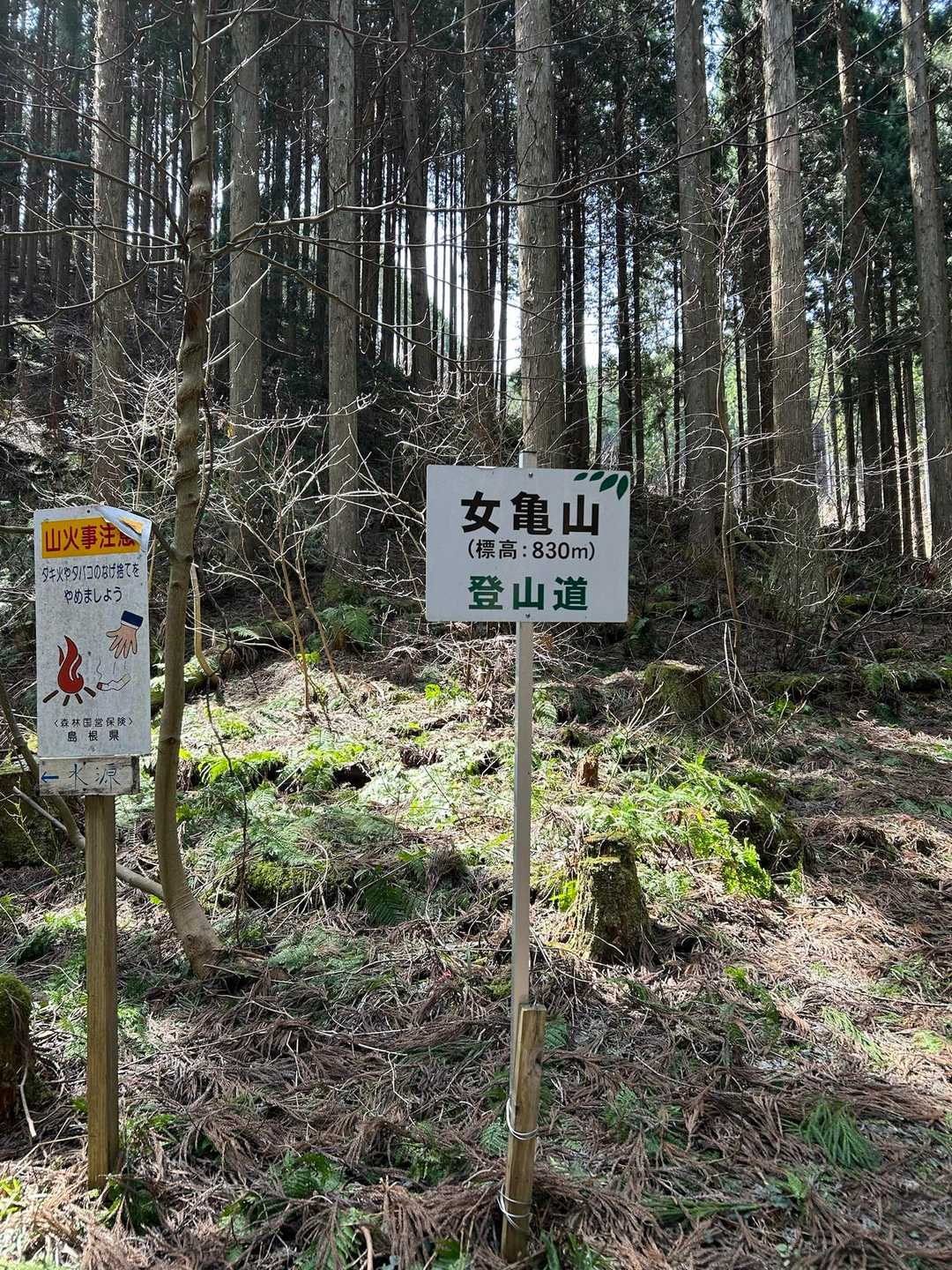 女亀山 往復コースの写真