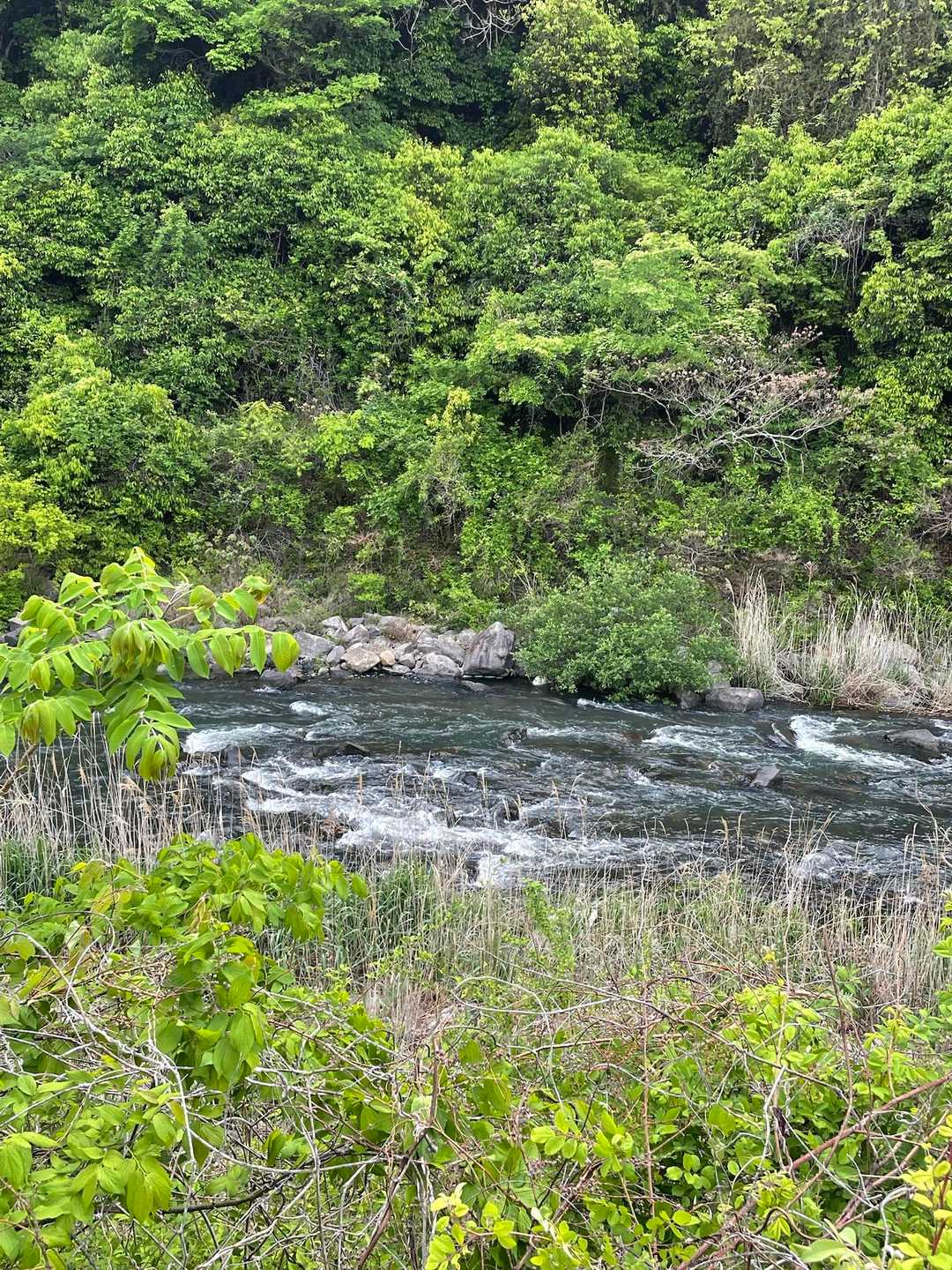 なんせ黄金週間中、近場で天気に恵まれるのは本日くらいときた