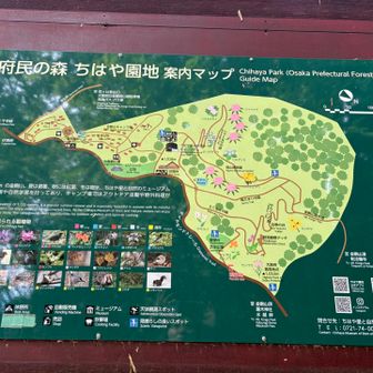 ちはや園地はじめて