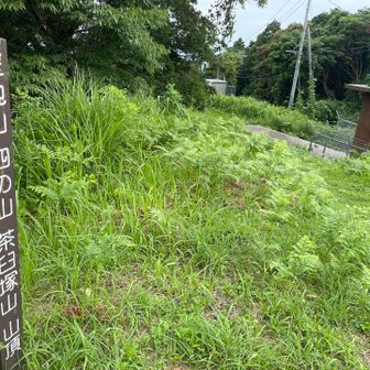 電波塔の奥には抜群の眺望が待っています⛰️