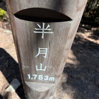 半月山♪
眺望も無いのでサクッと戻ります。