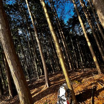 鳥屋山　山頂でザックを下ろしたら無いィ〜〜🗣️ 😩