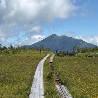 燧ケ岳まで繋がってる？キンコウカの💐がたくさん咲いてました。アヤメ平気持ち良すぎ😊