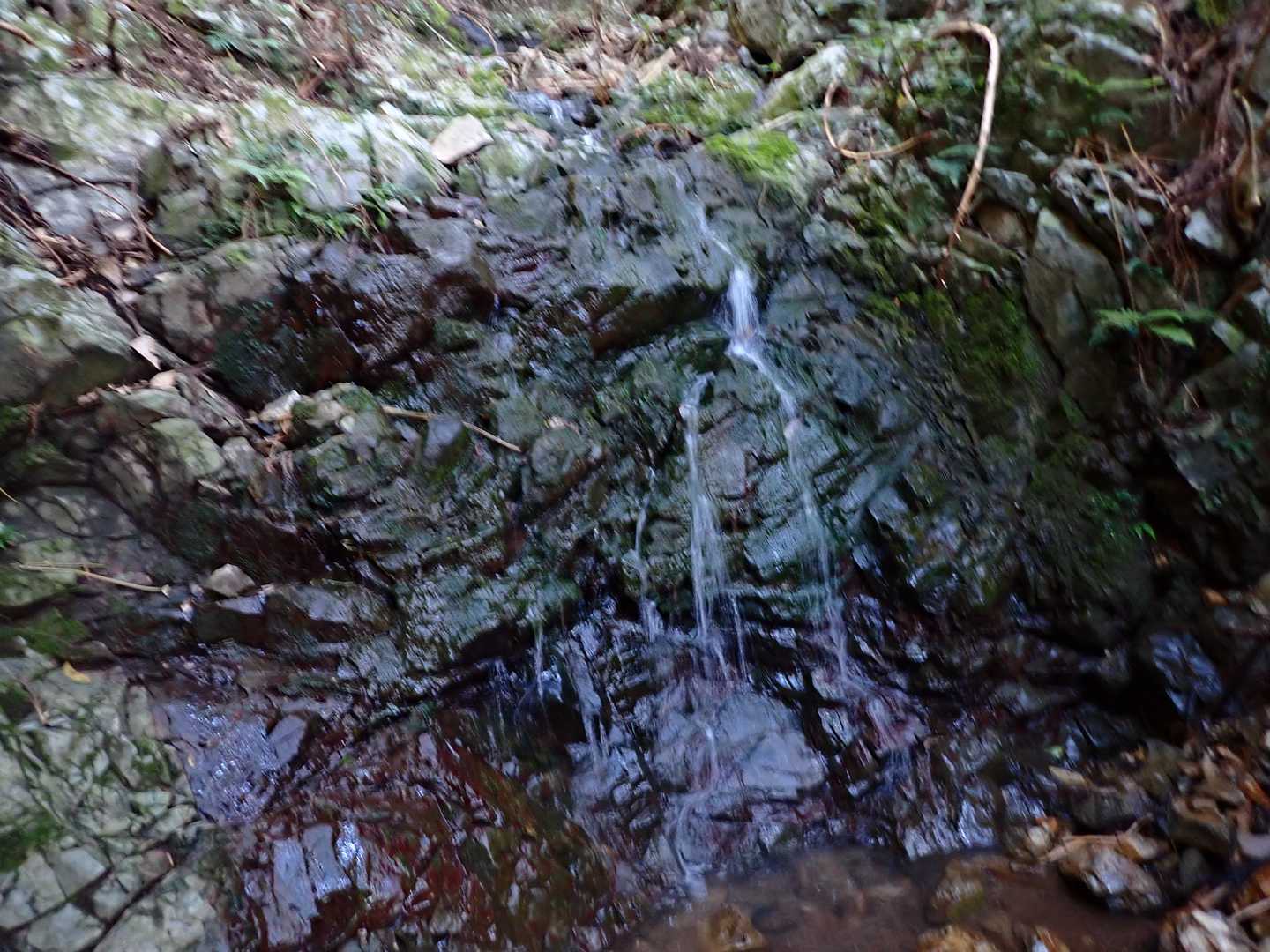 北谷コース登山口-鷹羽ヶ森 往復コースの写真