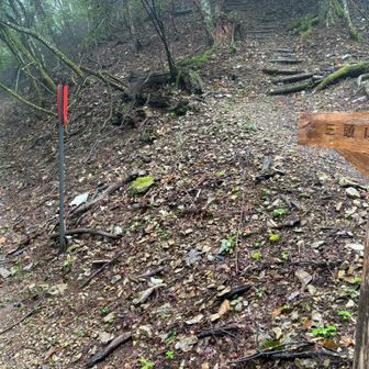 右の道は「道悪い」と標識に書かれているので、左の「ブナの路コース」を行きます。2つの道は見晴らし小屋近くで合流し、所要時間も30分と同じです