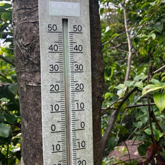 29度、全然涼しくない山頂