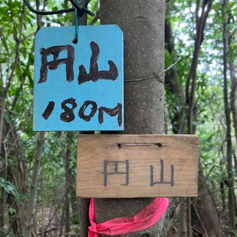 グレーピーク円山
