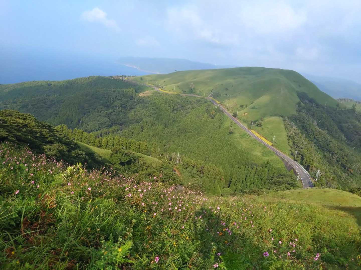 帰り遠そうだなぁ…😰
小松ケ丘の横の道路を歩いて帰ります😥