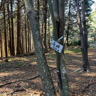 長峰山山頂