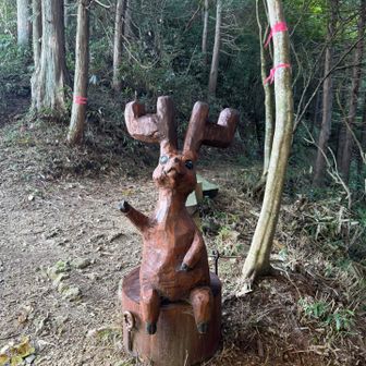 御坂峠到着
高賀山山頂と峰稚児神社との分岐の目印です
ほっこりしますなぁ𓂃◌𓈒𓐍