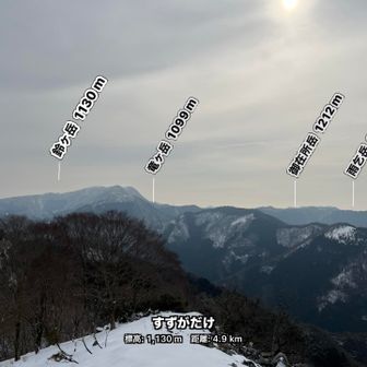 だいぶズレてますけど😓