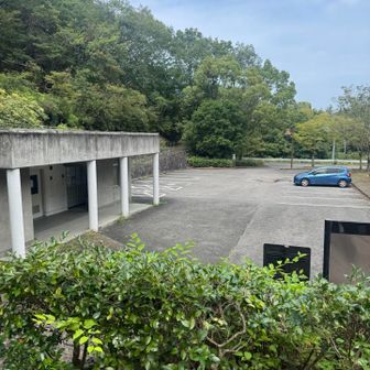 なんとなく散策して戻ってきました。